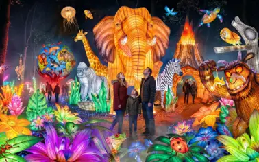 Lanterns of the Wild
